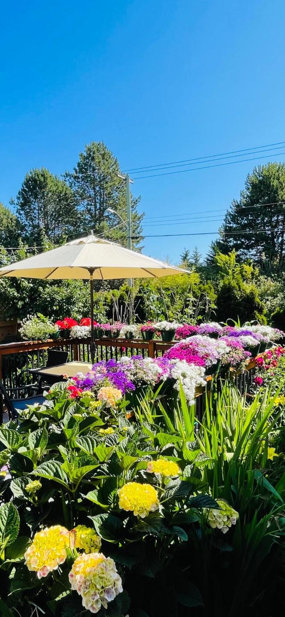 Garden Home In Victoria -Beautiful Home In Victoria Extérieur photo