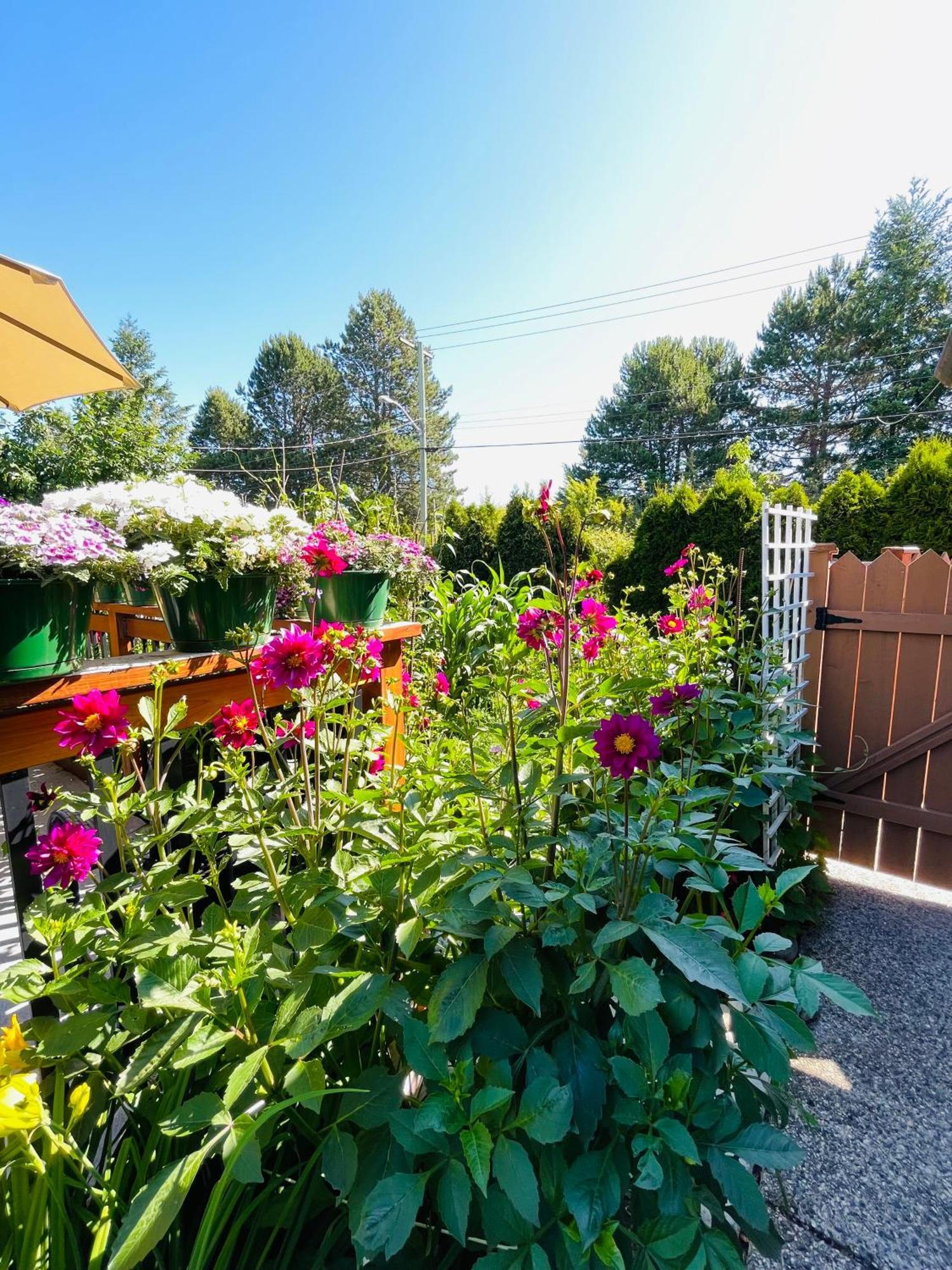 Garden Home In Victoria -Beautiful Home In Victoria Extérieur photo
