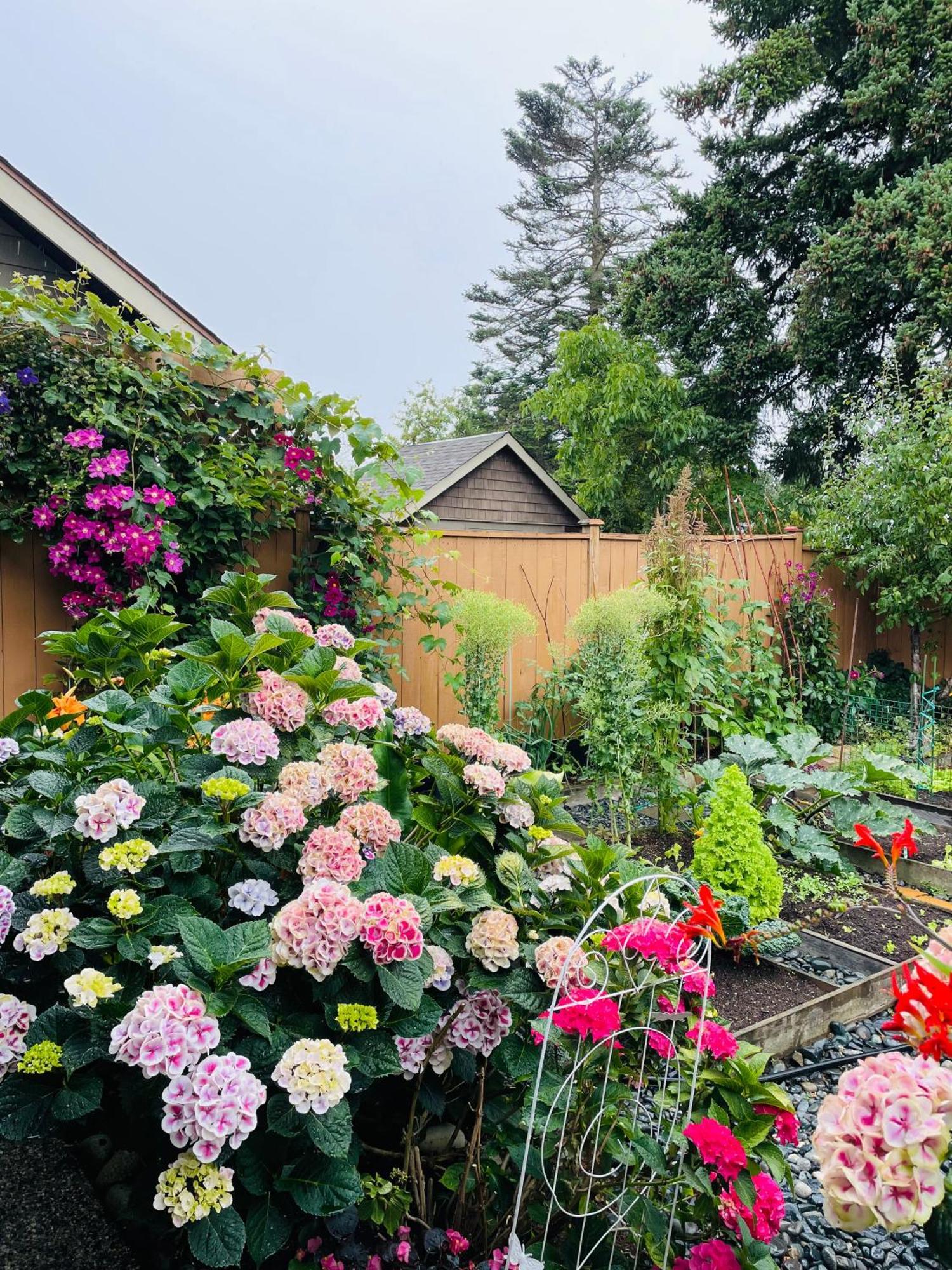 Garden Home In Victoria -Beautiful Home In Victoria Extérieur photo